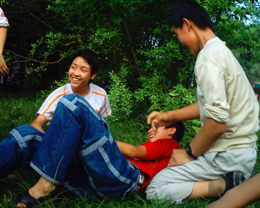 2006  (86)